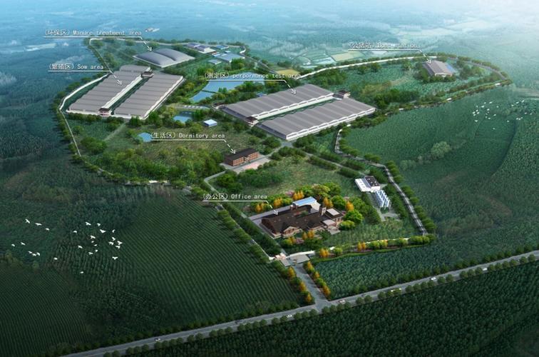 农信互联与今楚联合育种签署智能猪场合作协议